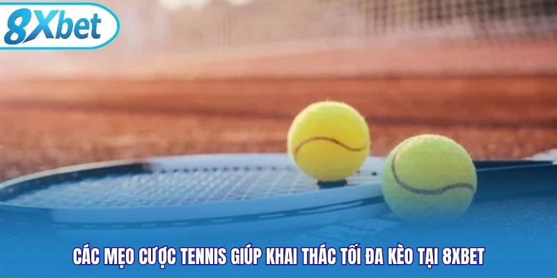 Các mẹo cược tennis giúp khai thác tối đa kèo tại 8xbet