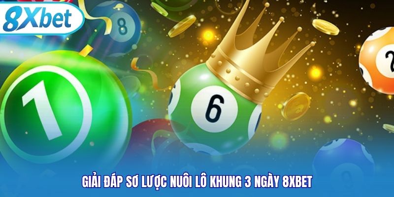 Giải đáp sơ lược nuôi lô khung 3 ngày 8xbet