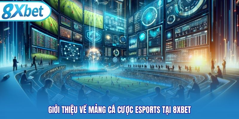 Giới thiệu về mảng cá cược Esports tại 8xbet