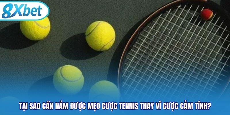 Tại sao cần nắm được mẹo cược tennis thay vì cược cảm tính?