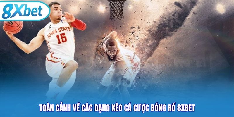 Toàn cảnh về các dạng kèo cá cược bóng rổ 8xbet